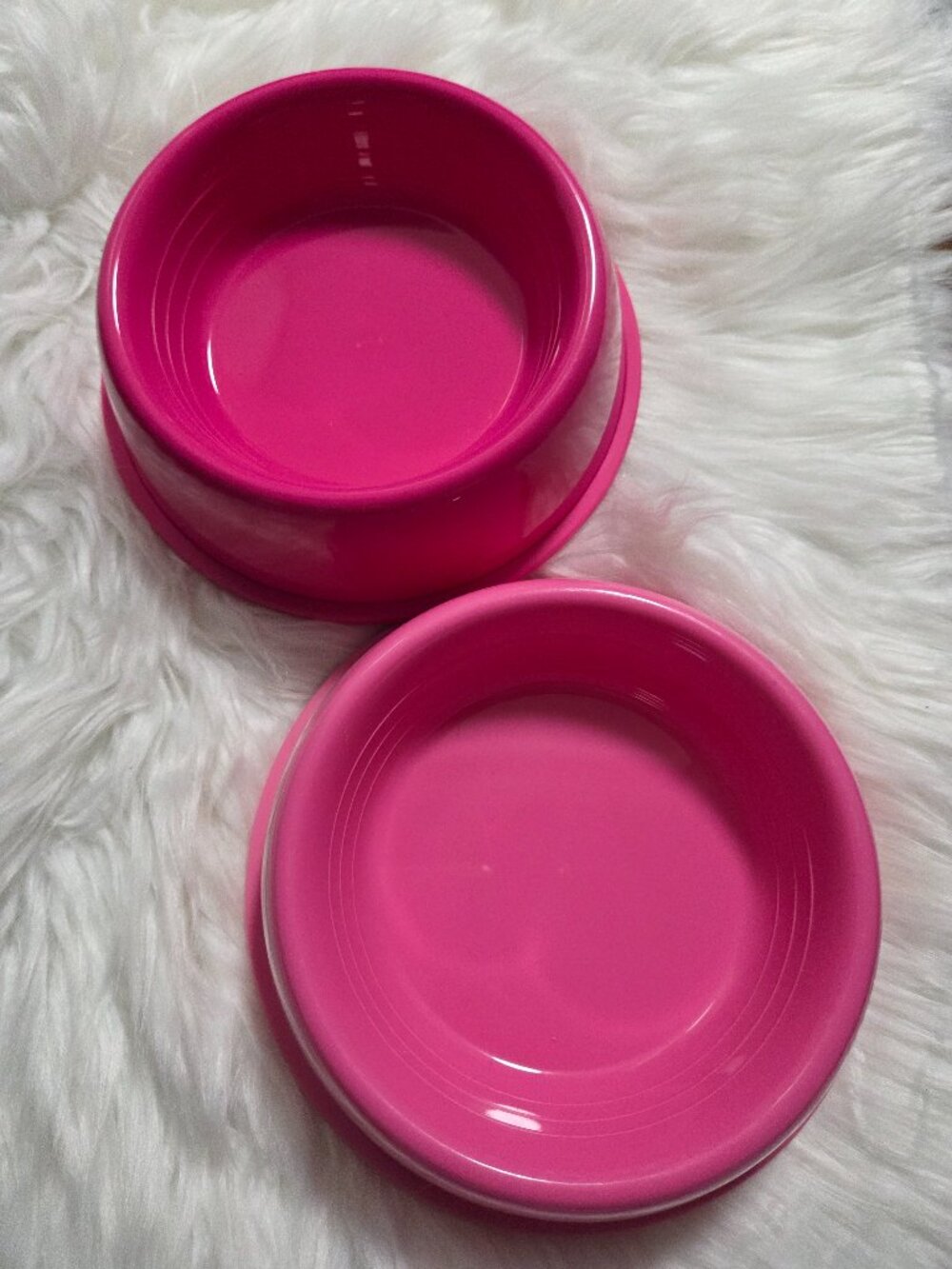 Sun Squad Set of 2 Dog Bowls